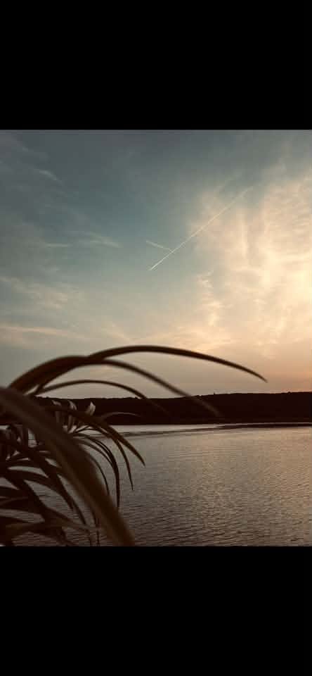 Gästefoto von Ella Anders an Bord der EMS Berzdorf